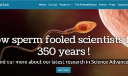 精子视频在线观看,在线观看精子视频，揭秘生命起源之旅