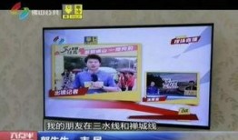 佛山卫视媒体爆料新闻视频,重大新闻事件深度解析